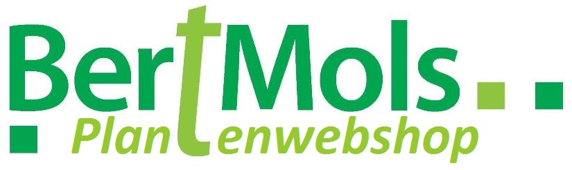 bertmolstuinenplanten